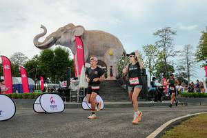 BIB: 
                            <button type="button" onclick="openModal(26529018)" class="btn btn-primary btn-sm float-right btn-popup" data-toggle="modal" data-target=".modal-high-quality">
                        <i class="fas fa-shopping-cart"></i> Add to Cart
                    </button>
                                            <button type="button" onclick="isThisMe(26529018, true)" class="btn btn-success btn-sm float-right btn-popup btn-isme hidden" data-toggle="tooltip" data-placement="bottom" title="นี่คือรูปของคุณใช่ไหม คลิกที่นี่เพื่อเอาเข้าอัลบั้ม">
                        <i class="fas fa-plus"></i> Add to album
                    </button>
                    <button type="button" onclick="isThisMe(26529018, false)" class="btn btn-warning btn-sm float-right btn-popup btn-isnotme hidden">
                        <i class="fas fa-ban"></i> Remove from album
                    </button>